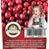 Oázis Amerikai tőzegáfonya - Vaccinium macrocarpon