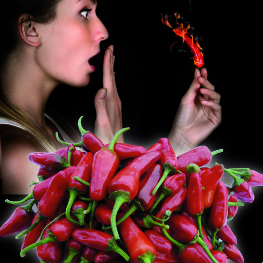 Oázis Apache paprika