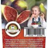 Oázis Füge - Ficus carica