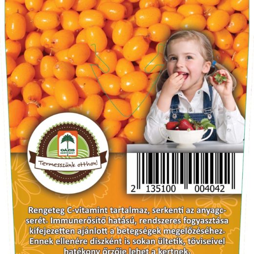 Oázis Homoktövis - Hippophae rhamnoides (2db)
