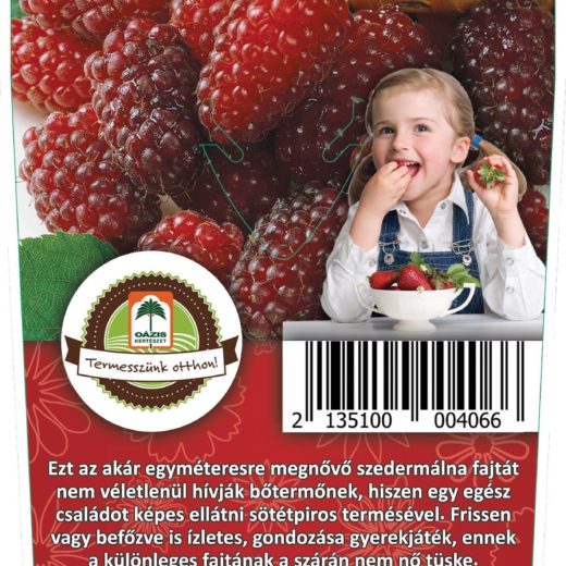 Oázis Kaliforniai szedermálna - Rubus loganobaccus