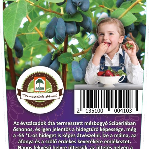 Oázis Kamcsatkai Mézbogyó - Lonicera kamtschatica
