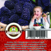 Oázis Málna - Ribes idaeus "Black Jewel"
