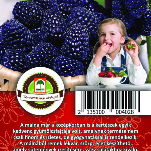 Oázis Málna - Ribes idaeus "Black Jewel"