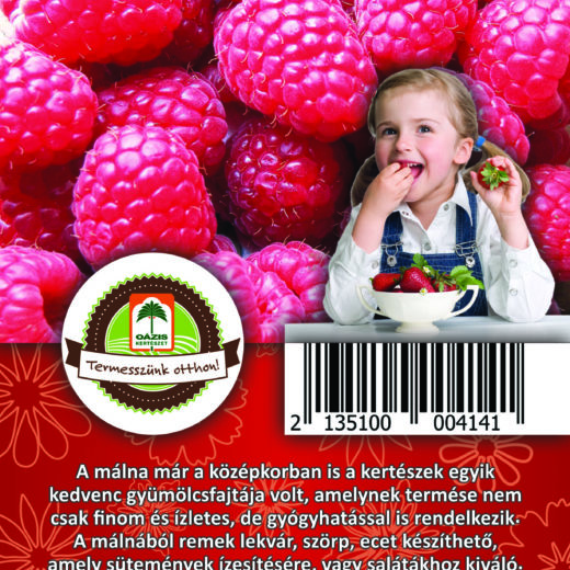 Oázis Málna - Ribes idaeus "Malling Promise"
