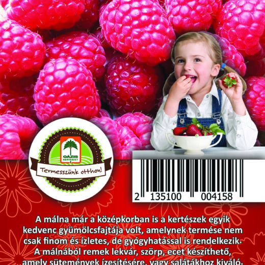 Oázis Málna - Ribes idaeus "Schoenemann"