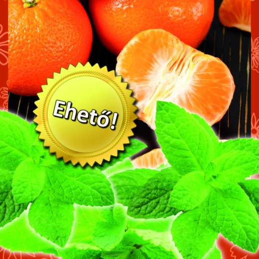 Oázis Mandarin menta