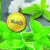 Oázis Stevia