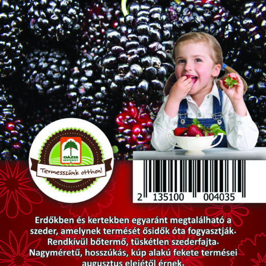 Oázis Szeder - Rubus fruticosus "Black Satin"