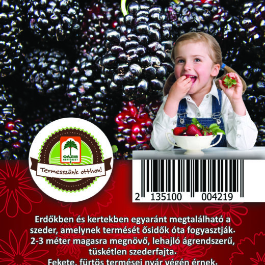 Oázis Szeder - Rubus fruticosus "Thornless Evergreen"