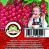 Oázis Feketeribiszke - Ribes nigrum "Rovada"