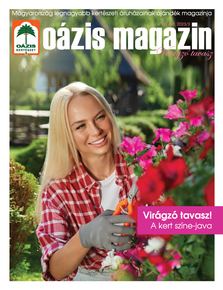 Magazinunk legfrissebb száma